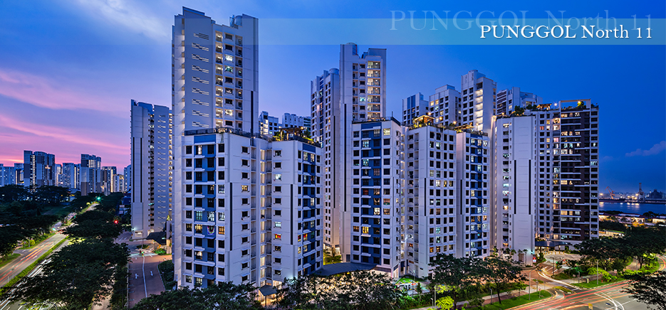 HDB Punggol North 11